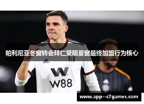 帕利尼亚冬窗转会拜仁受阻夏窗最终加盟行为核心 帕利尼亚冬窗转会拜仁受阻夏窗最终加盟行为核心