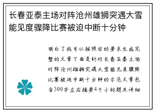 长春亚泰主场对阵沧州雄狮突遇大雪能见度骤降比赛被迫中断十分钟